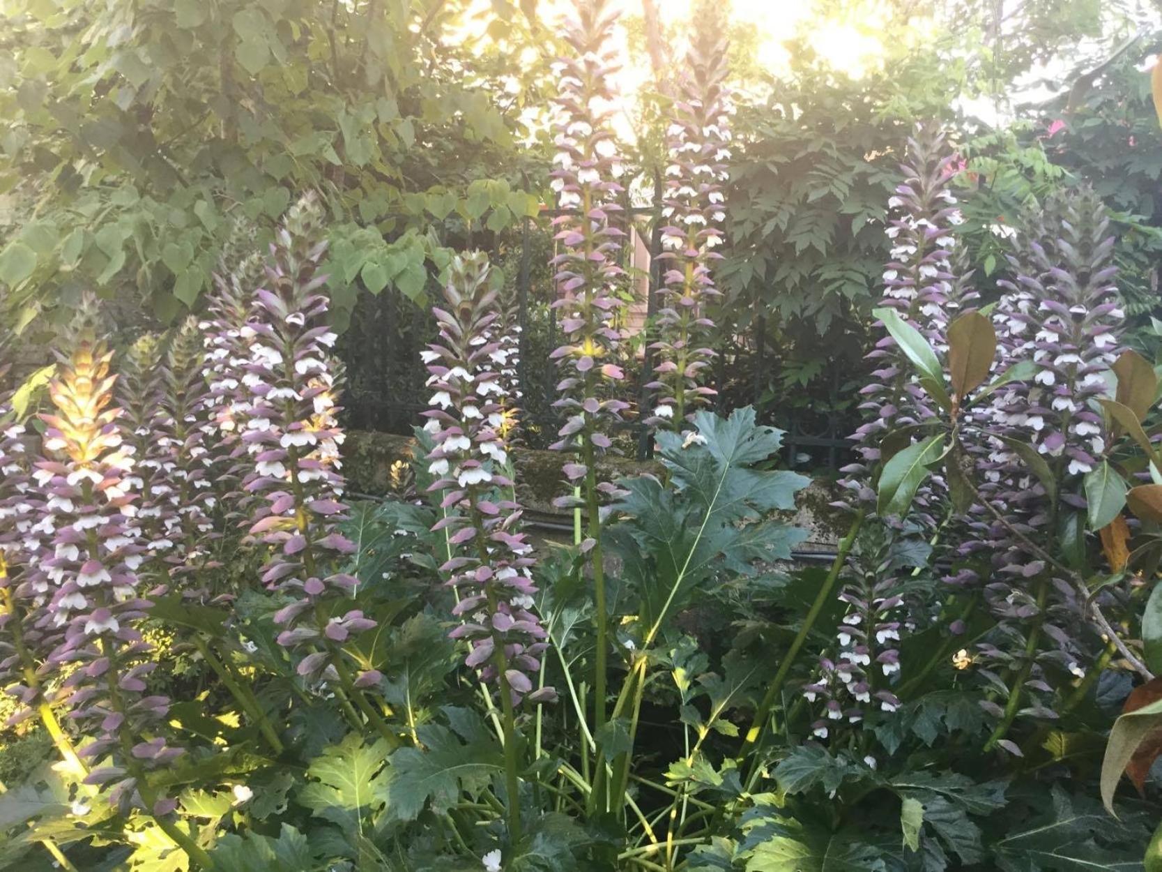 Les Tuileries De Chanteloup La Roche-Chalais Eksteriør billede